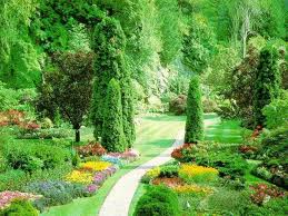 خریدپستی آموزش اسرار باغبانی ، آموزش اصول باغبانی و گل کاری، طراحی فضای سبز