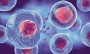 نقش سلول‌های بنیادین در مبارزه با آرتروز